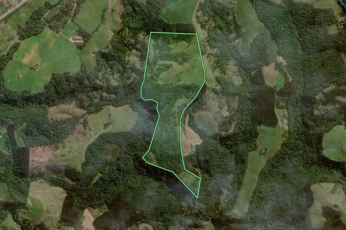Imagem de satélite do imóvel rural em Papanduva (SC), com o contorno declarado no CAR desenhado por cima.