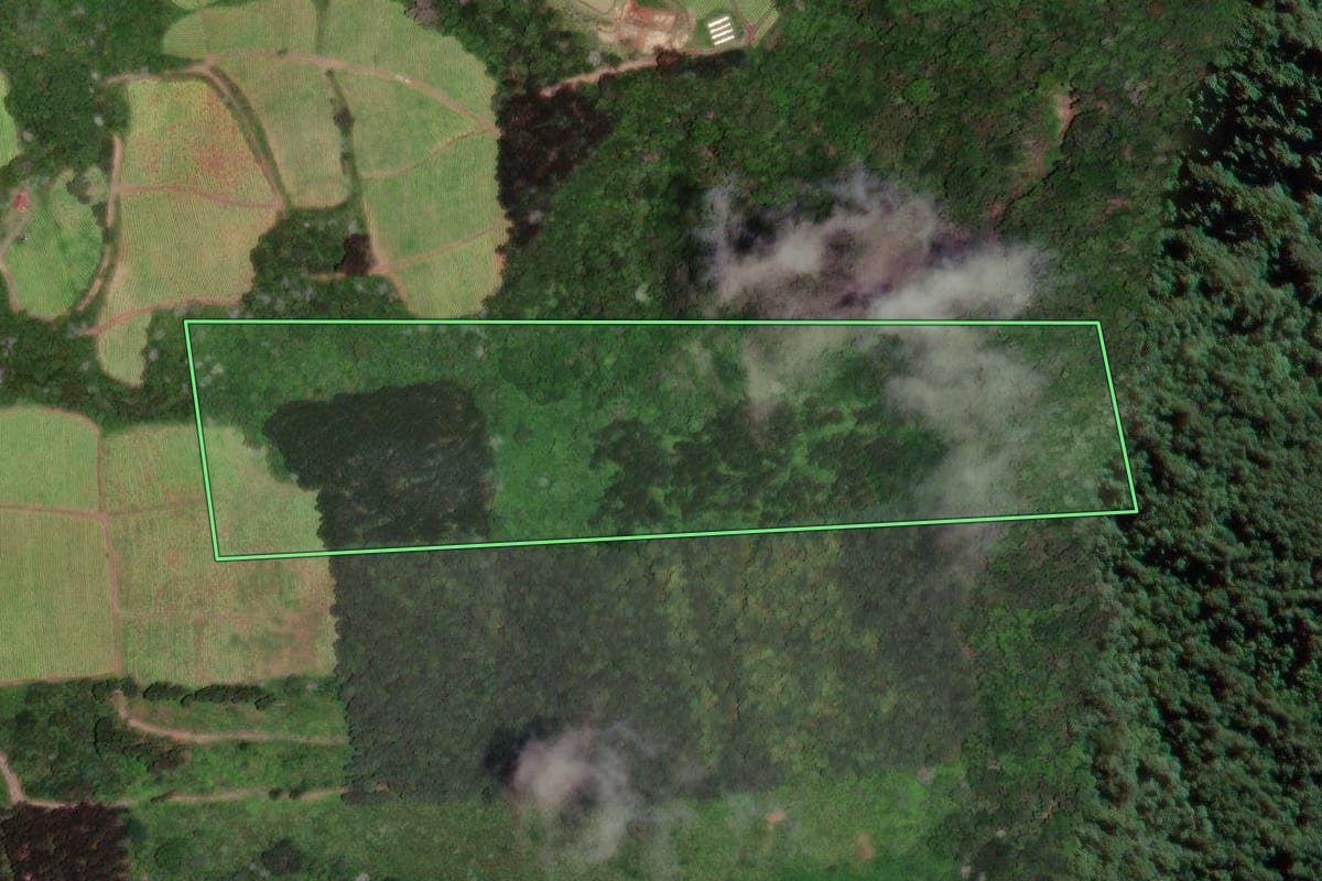 Imagem de satélite do imóvel rural em Papanduva (SC), com o contorno declarado no CAR desenhado por cima.