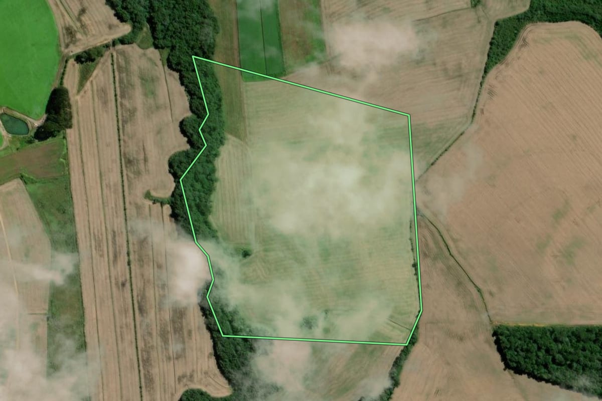 Imagem de satélite do imóvel rural em Papanduva (SC), com o contorno declarado no CAR desenhado por cima.