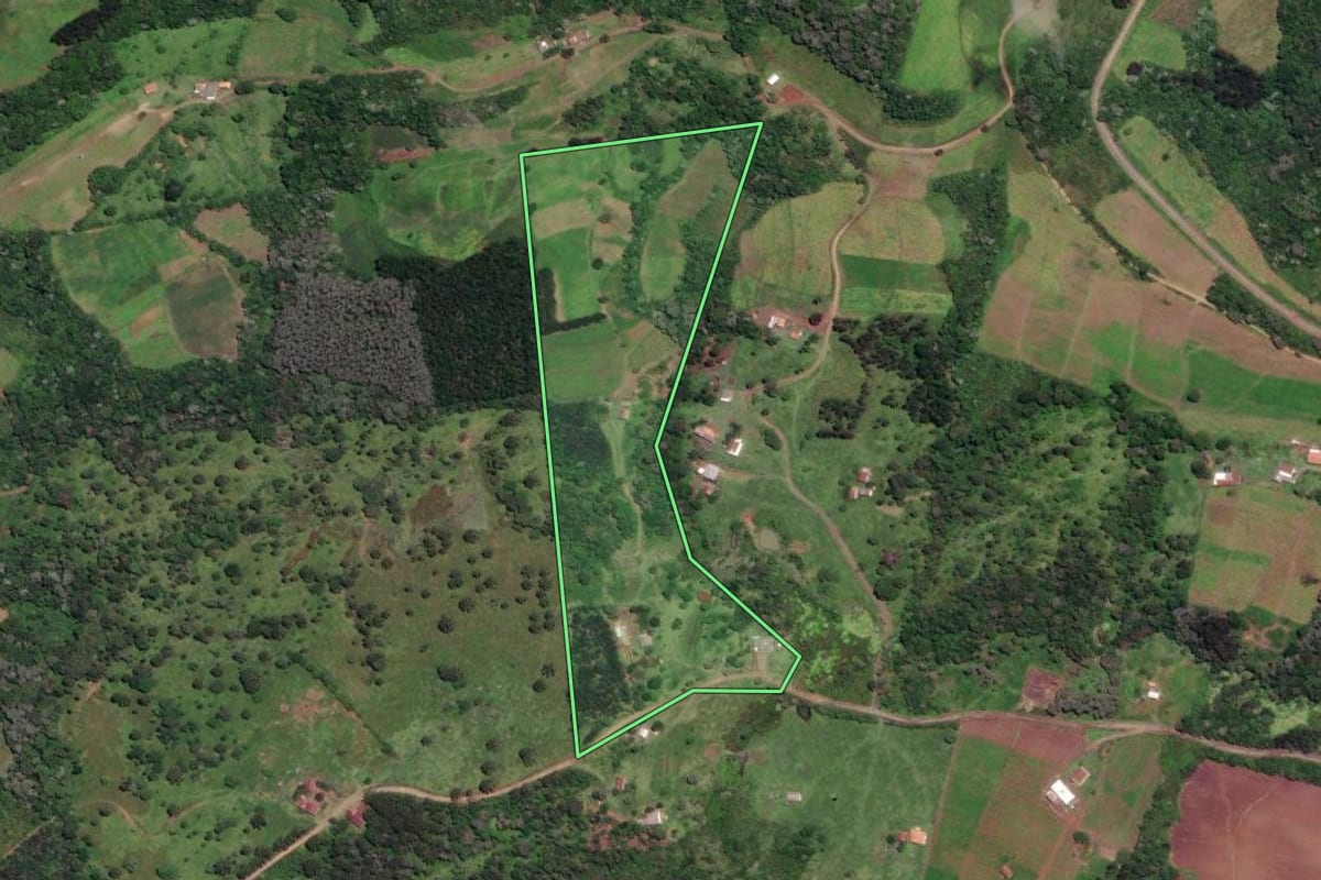 Imagem de satélite do imóvel rural em Papanduva (SC), com o contorno declarado no CAR desenhado por cima.