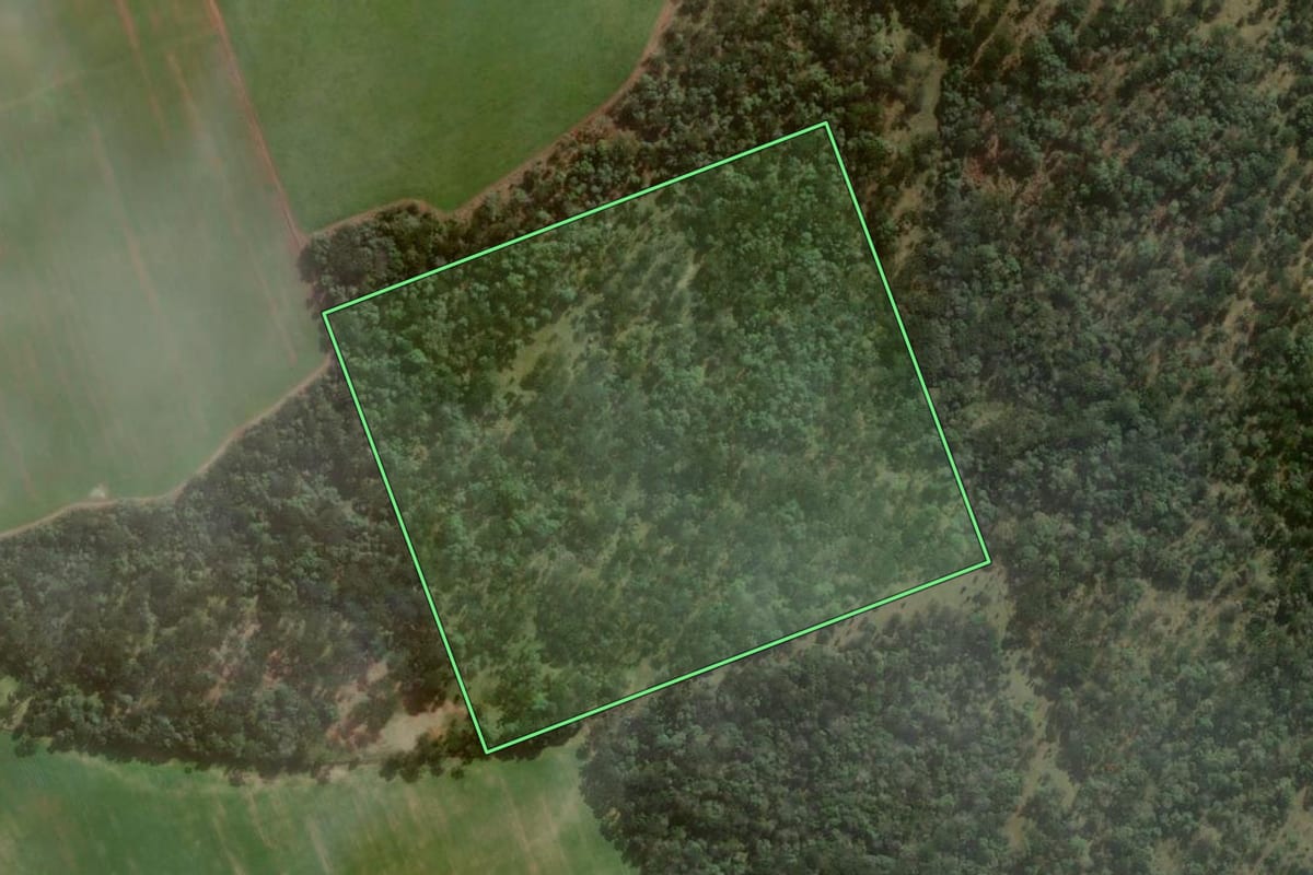Imagem de satélite do imóvel rural em Papanduva (SC), com o contorno declarado no CAR desenhado por cima.