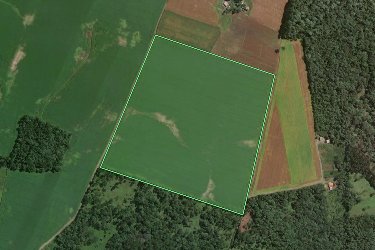 Imagem de satélite do imóvel rural em Papanduva (SC), com o contorno declarado no CAR desenhado por cima.