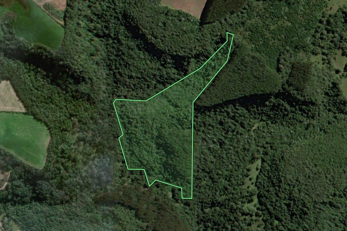 Imagem de satélite do imóvel rural em Papanduva (SC), com o contorno declarado no CAR desenhado por cima.