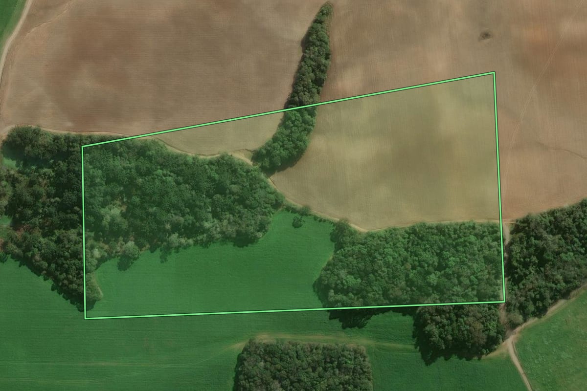 Imagem de satélite do imóvel rural em Papanduva (SC), com o contorno declarado no CAR desenhado por cima.