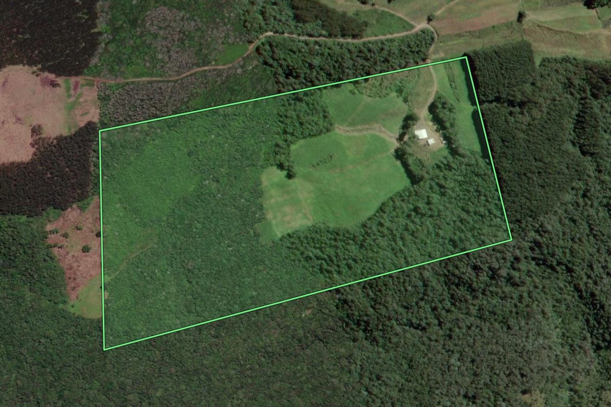 Imagem de satélite do imóvel rural em Papanduva (SC), com o contorno declarado no CAR desenhado por cima.