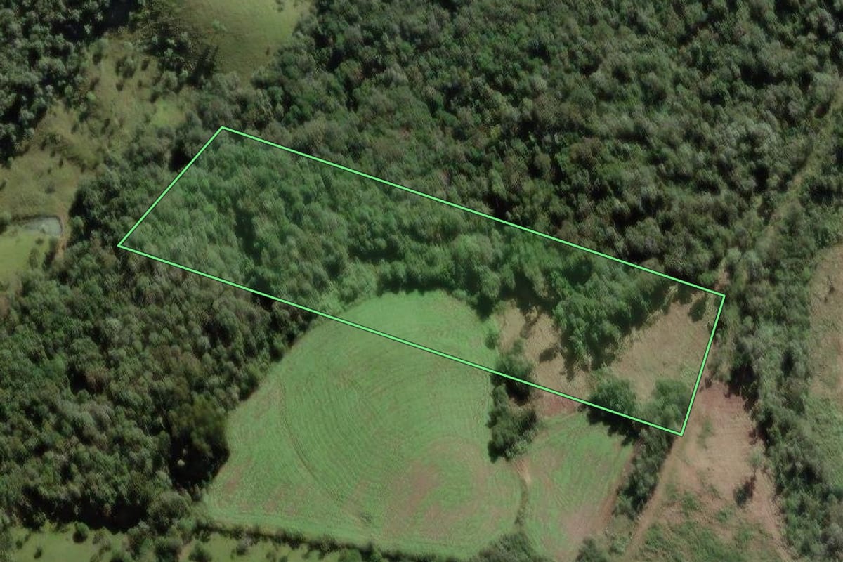 Imagem de satélite do imóvel rural em Papanduva (SC), com o contorno declarado no CAR desenhado por cima.