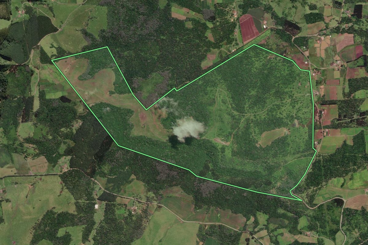 Imagem de satélite do imóvel rural em Papanduva (SC), com o contorno declarado no CAR desenhado por cima.