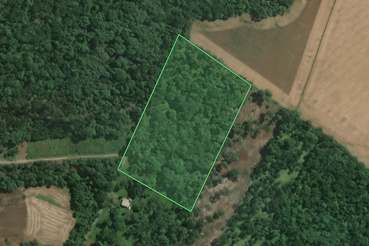 Imagem de satélite do imóvel rural em Papanduva (SC), com o contorno declarado no CAR desenhado por cima.
