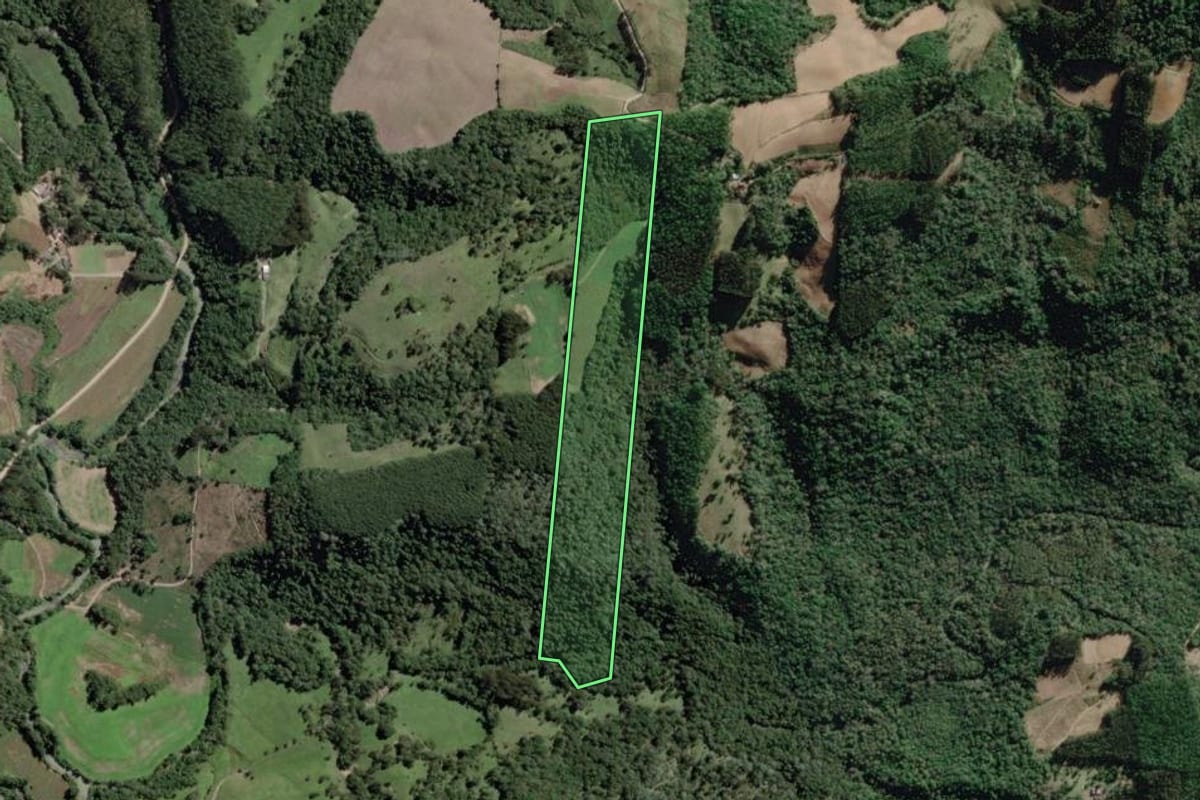 Imagem de satélite do imóvel rural em Papanduva (SC), com o contorno declarado no CAR desenhado por cima.