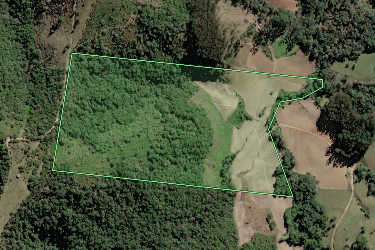 Imagem de satélite do imóvel rural em Papanduva (SC), com o contorno declarado no CAR desenhado por cima.