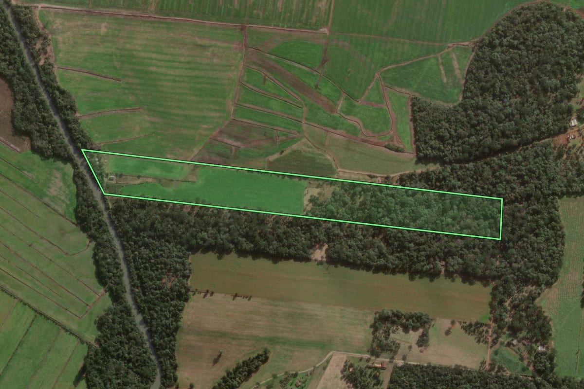 Imagem de satélite do imóvel rural em Papanduva (SC), com o contorno declarado no CAR desenhado por cima.