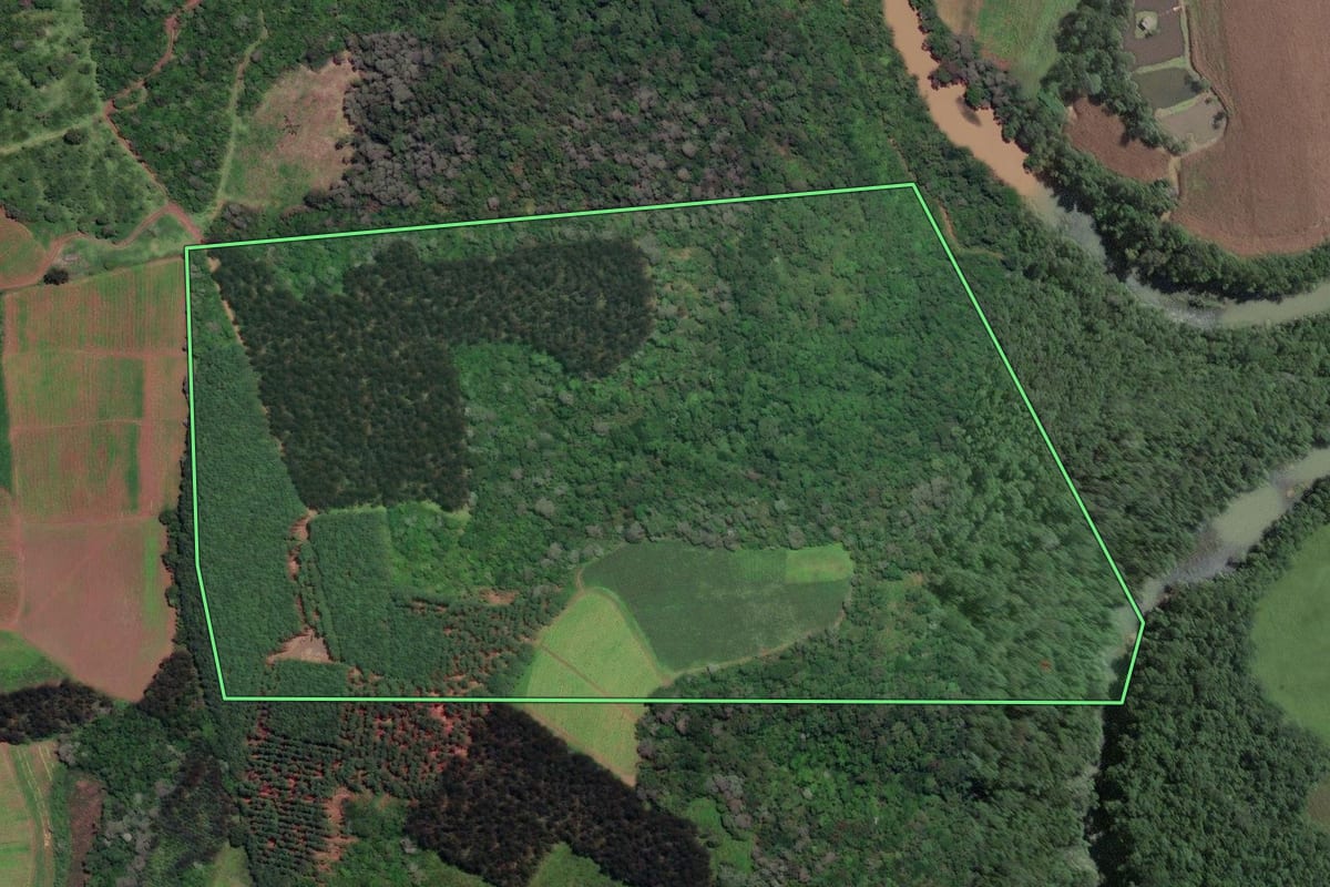 Imagem de satélite do imóvel rural em Papanduva (SC), com o contorno declarado no CAR desenhado por cima.