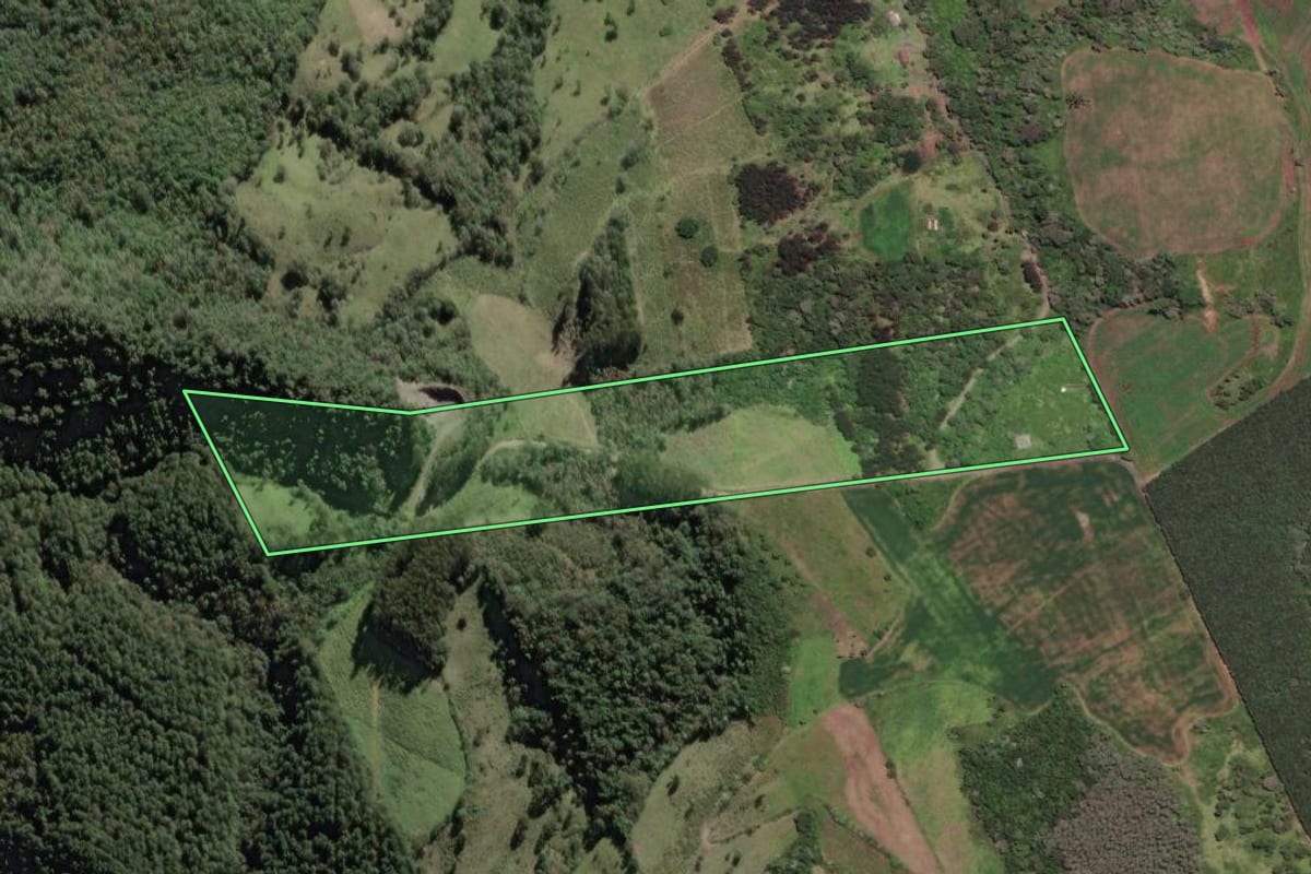 Imagem de satélite do imóvel rural em Papanduva (SC), com o contorno declarado no CAR desenhado por cima.