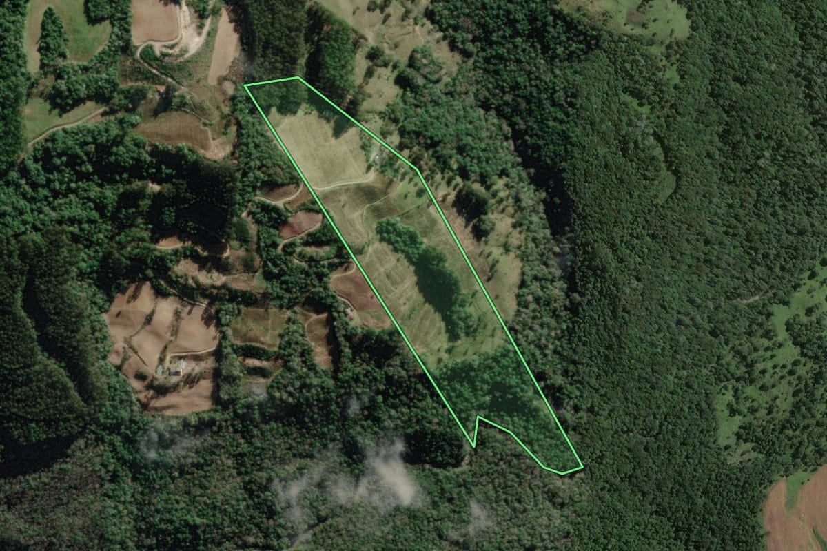 Imagem de satélite do imóvel rural em Papanduva (SC), com o contorno declarado no CAR desenhado por cima.