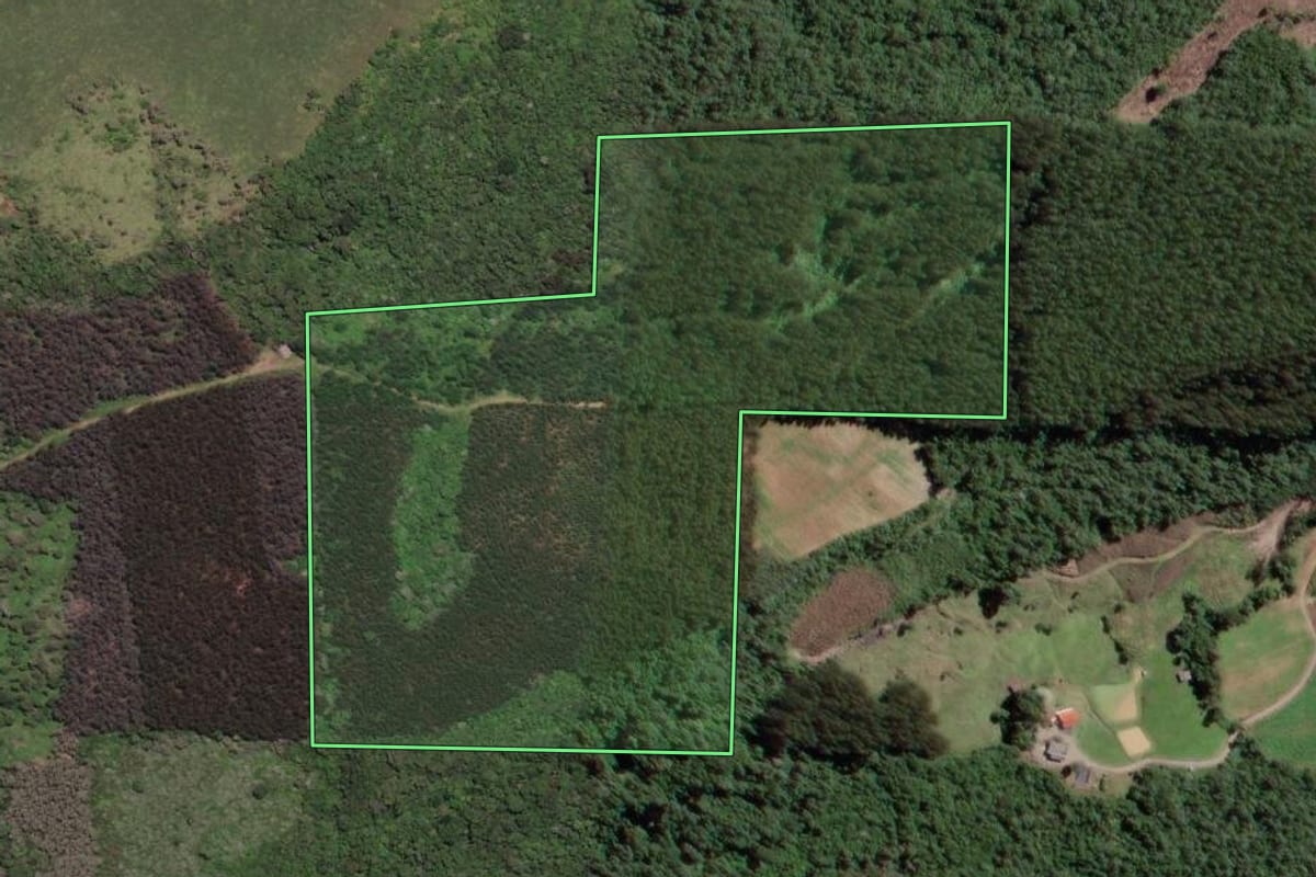 Imagem de satélite do imóvel rural em Papanduva (SC), com o contorno declarado no CAR desenhado por cima.