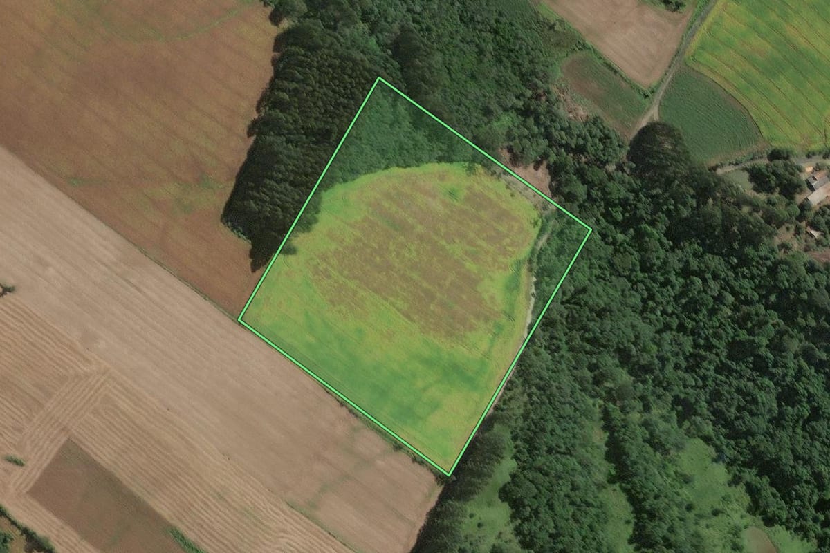 Imagem de satélite do imóvel rural em Papanduva (SC), com o contorno declarado no CAR desenhado por cima.