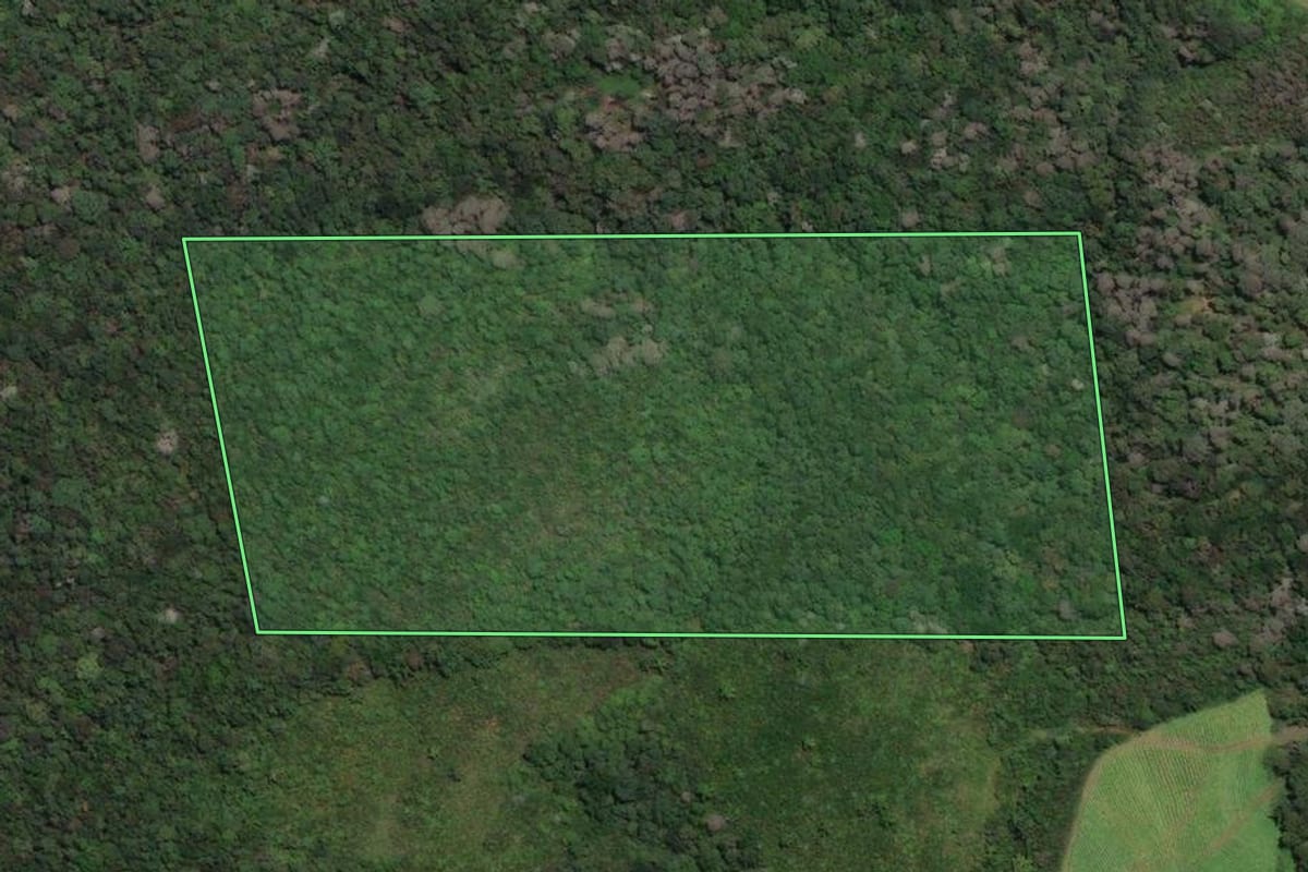 Imagem de satélite do imóvel rural em Papanduva (SC), com o contorno declarado no CAR desenhado por cima.