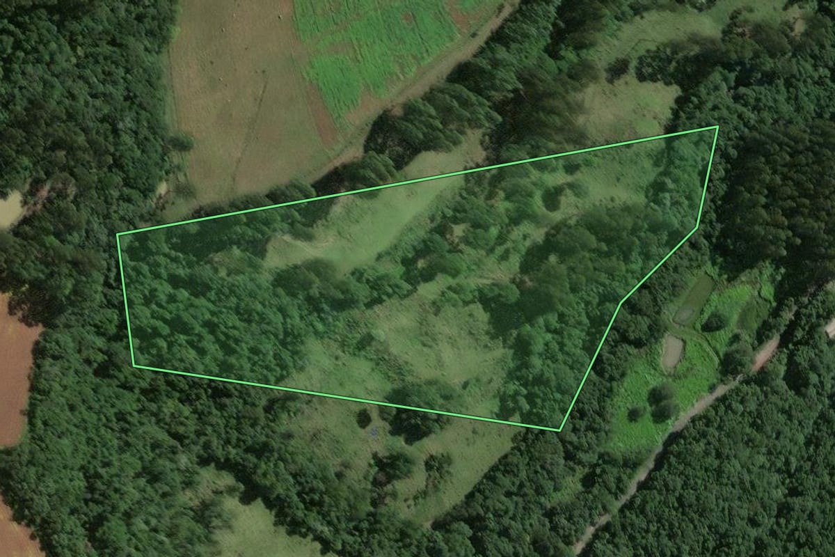 Imagem de satélite do imóvel rural em Papanduva (SC), com o contorno declarado no CAR desenhado por cima.