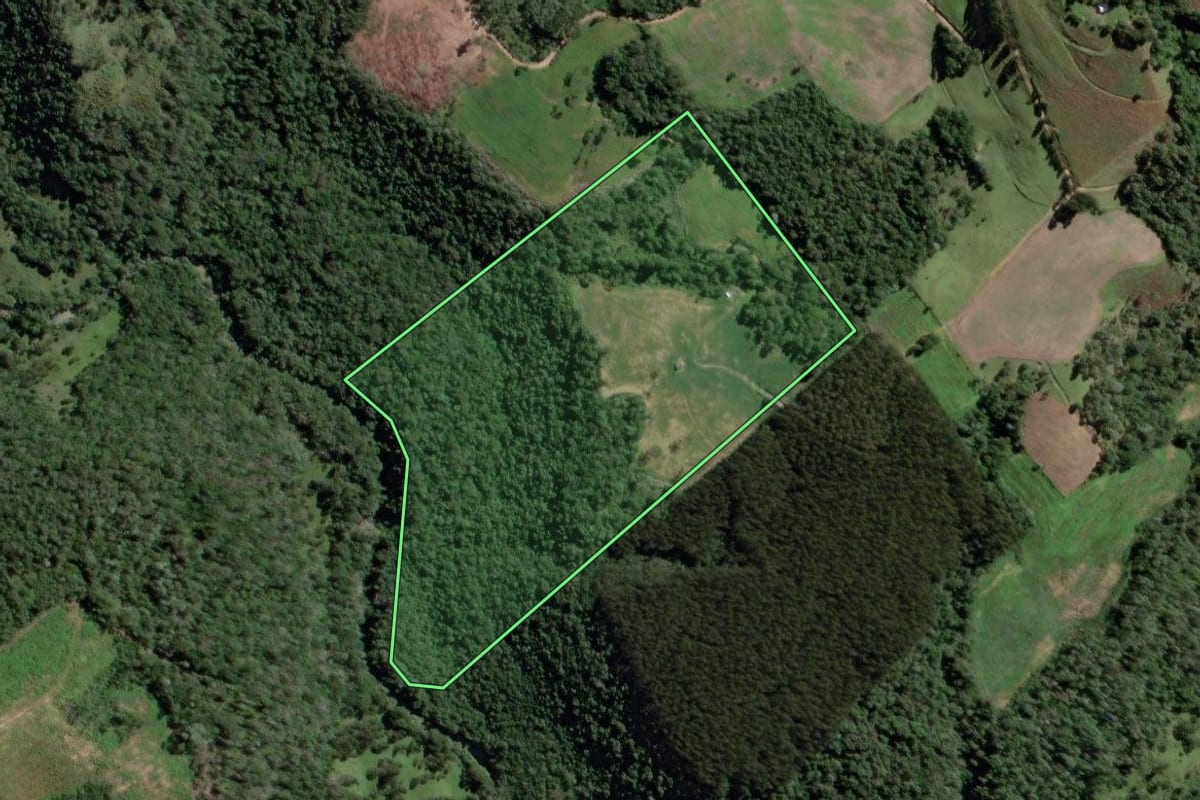 Imagem de satélite do imóvel rural em Papanduva (SC), com o contorno declarado no CAR desenhado por cima.