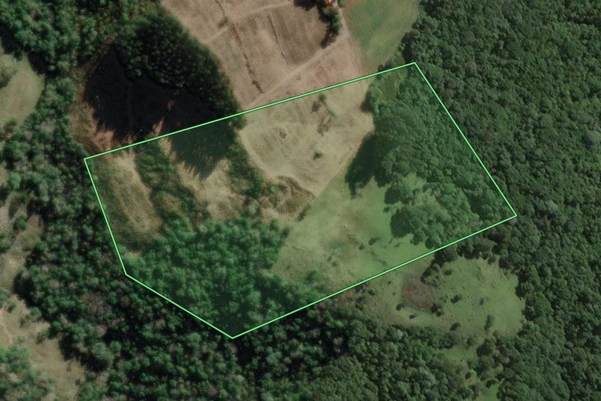 Imagem de satélite do imóvel rural em Papanduva (SC), com o contorno declarado no CAR desenhado por cima.