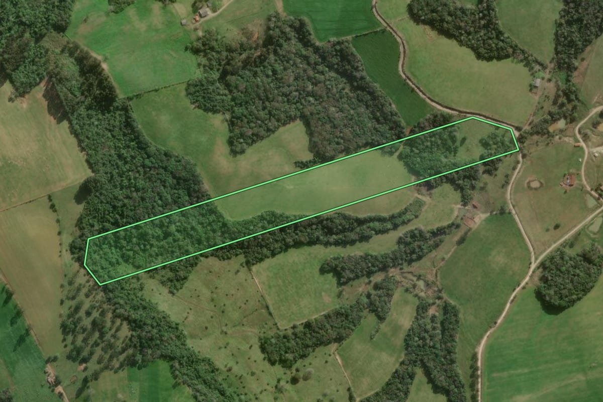 Imagem de satélite do imóvel rural em Papanduva (SC), com o contorno declarado no CAR desenhado por cima.
