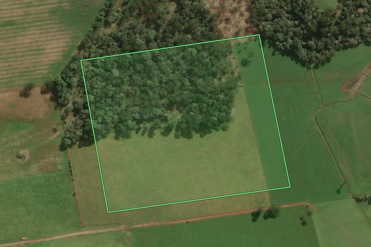 Imagem de satélite do imóvel rural em Papanduva (SC), com o contorno declarado no CAR desenhado por cima.