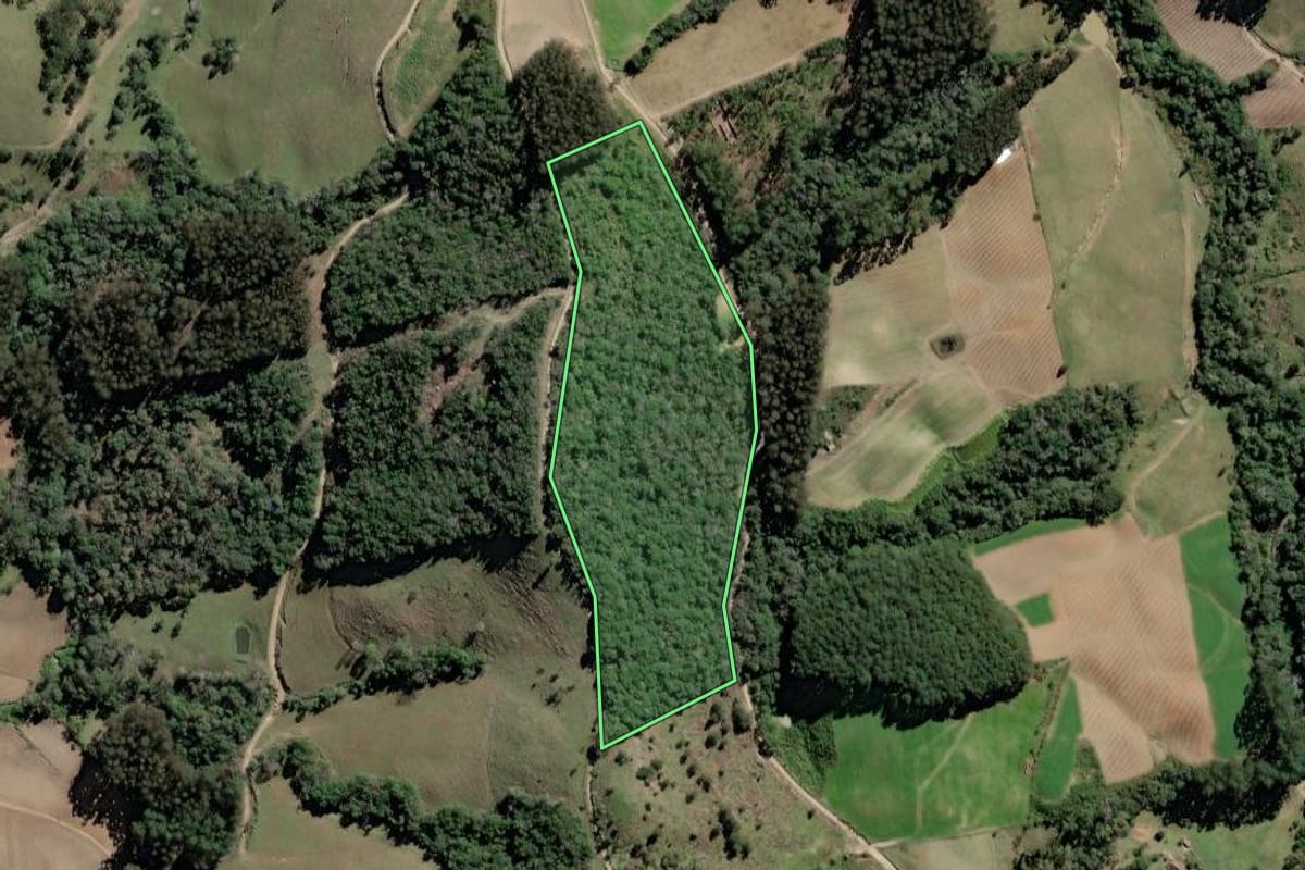 Imagem de satélite do imóvel rural em Papanduva (SC), com o contorno declarado no CAR desenhado por cima.
