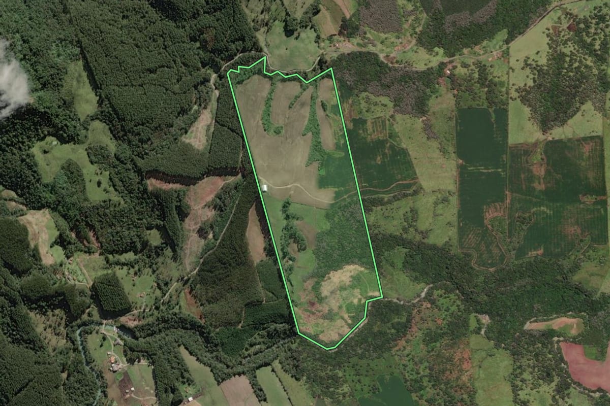 Imagem de satélite do imóvel rural em Papanduva (SC), com o contorno declarado no CAR desenhado por cima.