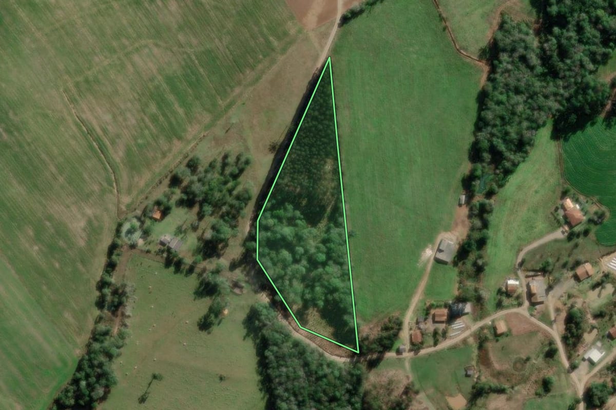 Imagem de satélite do imóvel rural em Papanduva (SC), com o contorno declarado no CAR desenhado por cima.