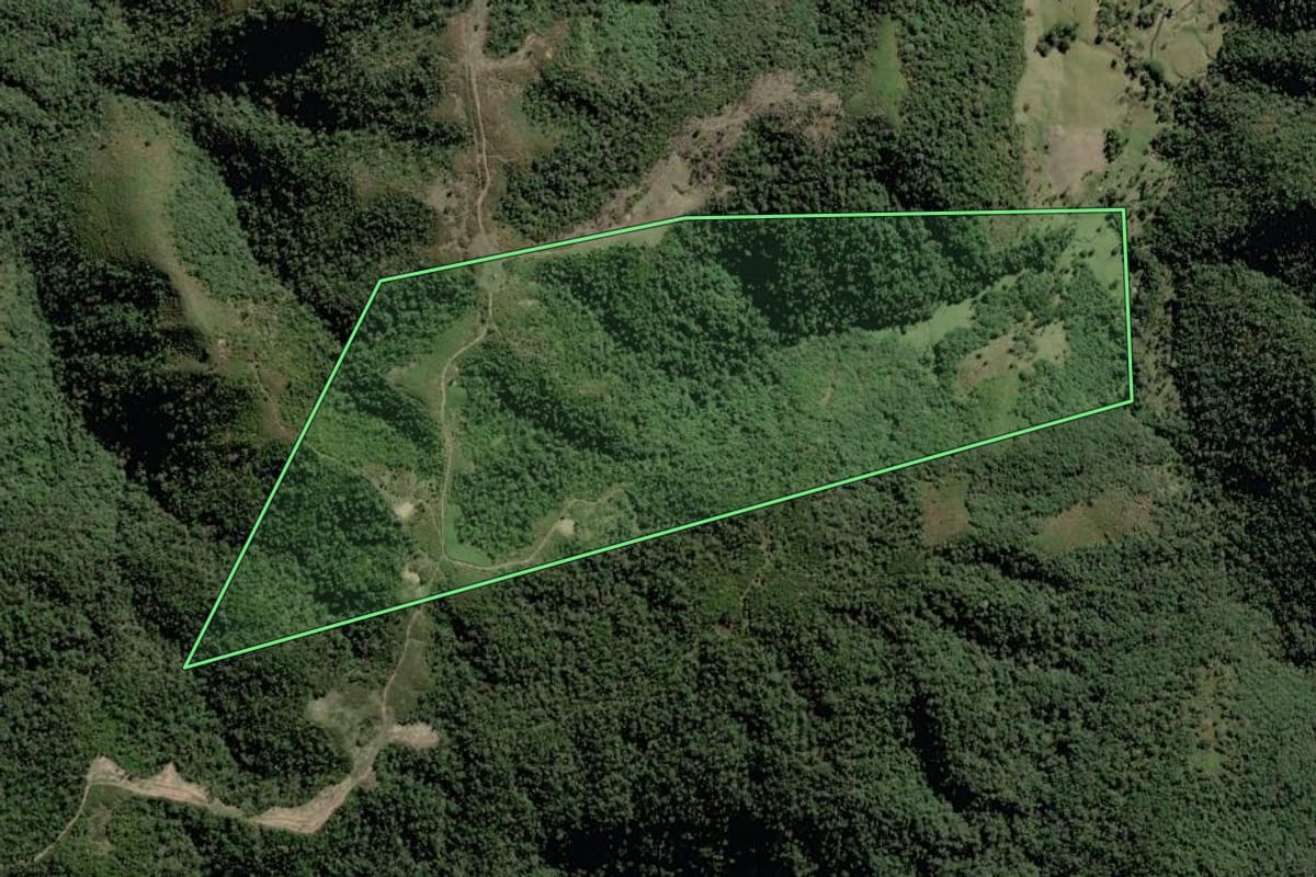 Imagem de satélite do imóvel rural em Papanduva (SC), com o contorno declarado no CAR desenhado por cima.