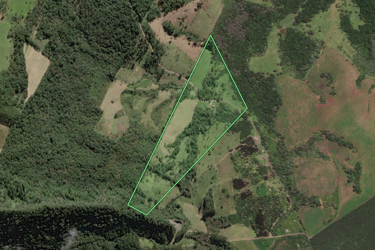 Imagem de satélite do imóvel rural em Papanduva (SC), com o contorno declarado no CAR desenhado por cima.