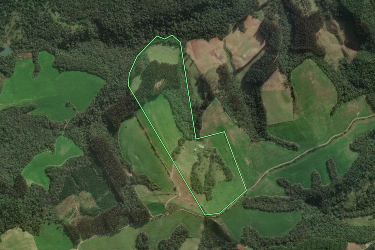 Imagem de satélite do imóvel rural em Papanduva (SC), com o contorno declarado no CAR desenhado por cima.