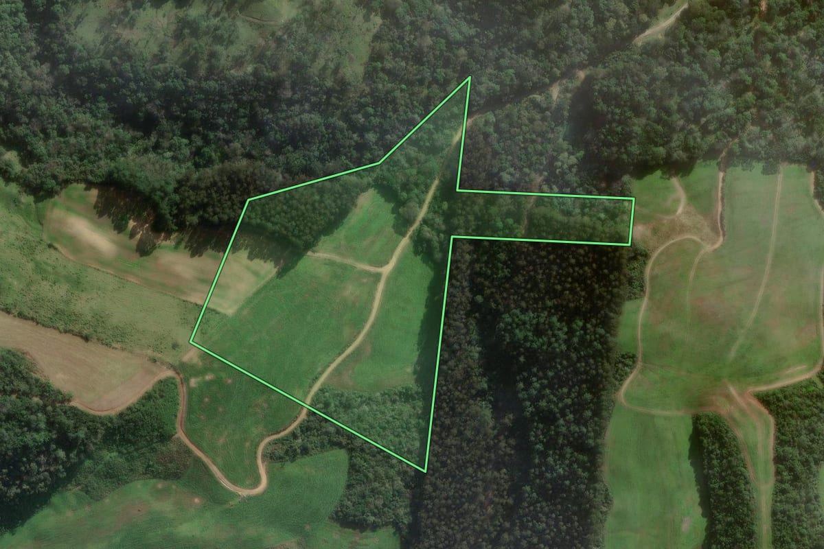Imagem de satélite do imóvel rural em Papanduva (SC), com o contorno declarado no CAR desenhado por cima.