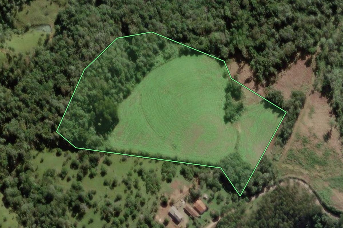 Imagem de satélite do imóvel rural em Papanduva (SC), com o contorno declarado no CAR desenhado por cima.
