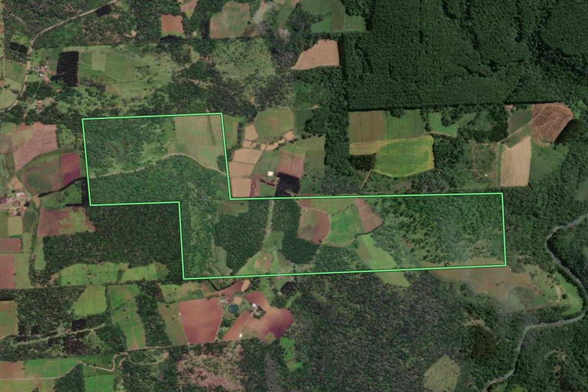 Imagem de satélite do imóvel rural em Papanduva (SC), com o contorno declarado no CAR desenhado por cima.