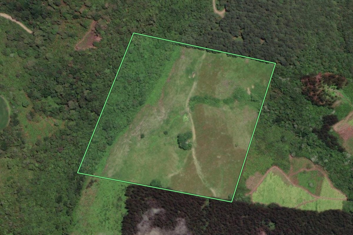 Imagem de satélite do imóvel rural em Papanduva (SC), com o contorno declarado no CAR desenhado por cima.