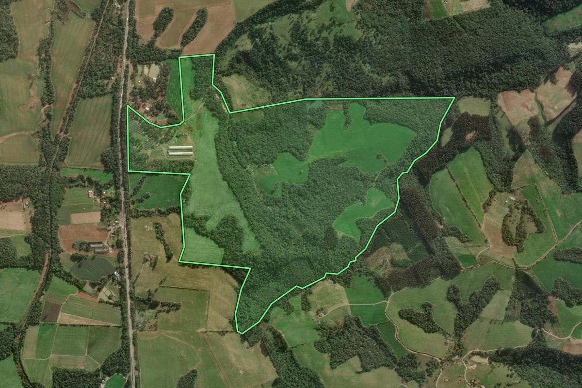 Imagem de satélite do imóvel rural em Papanduva (SC), com o contorno declarado no CAR desenhado por cima.