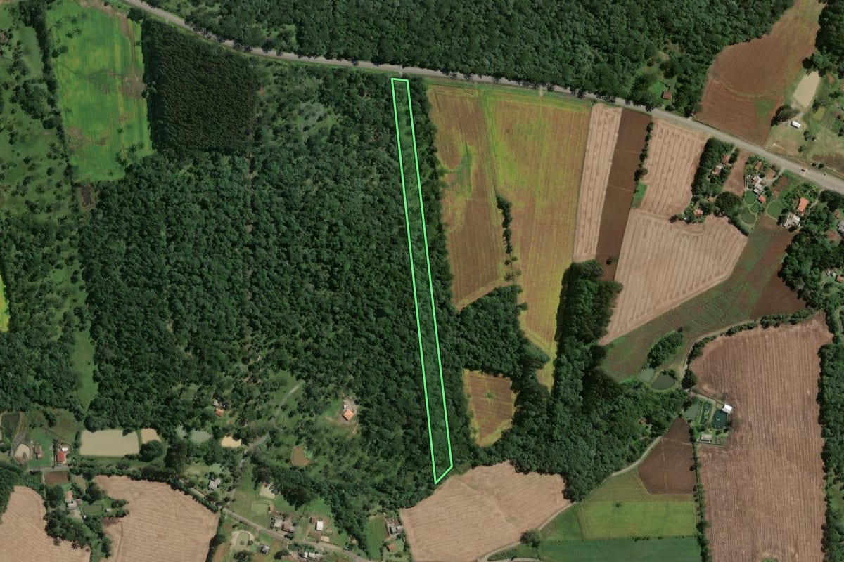 Imagem de satélite do imóvel rural em Papanduva (SC), com o contorno declarado no CAR desenhado por cima.