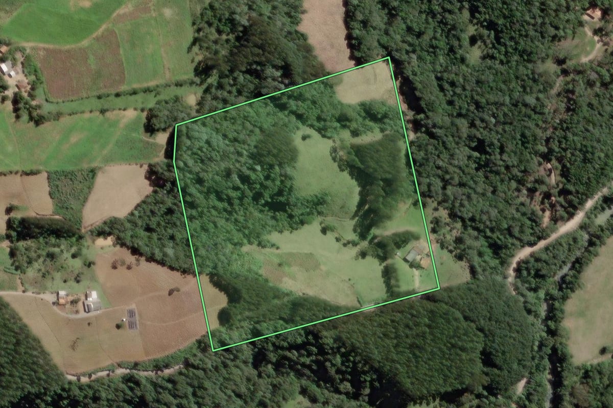 Imagem de satélite do imóvel rural em Papanduva (SC), com o contorno declarado no CAR desenhado por cima.