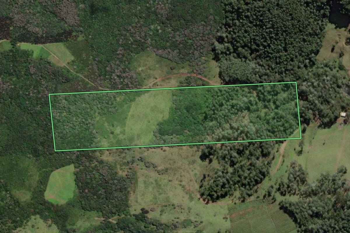 Imagem de satélite do imóvel rural em Papanduva (SC), com o contorno declarado no CAR desenhado por cima.