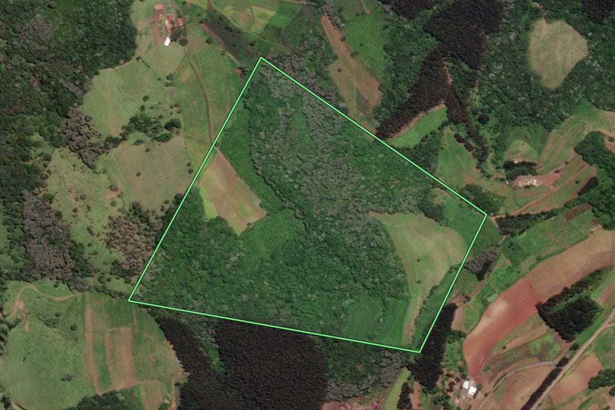 Imagem de satélite do imóvel rural em Papanduva (SC), com o contorno declarado no CAR desenhado por cima.