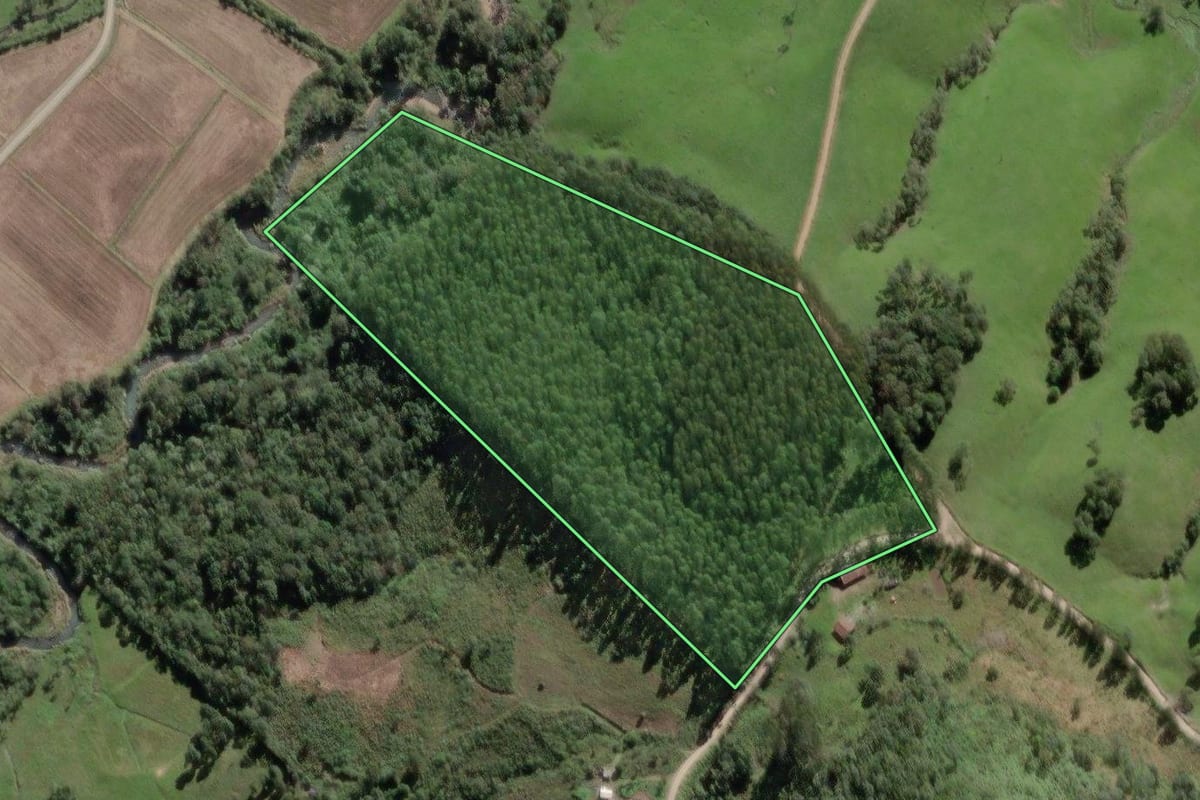 Imagem de satélite do imóvel rural em Papanduva (SC), com o contorno declarado no CAR desenhado por cima.
