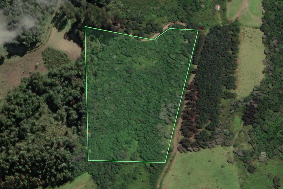 Imagem de satélite do imóvel rural em Papanduva (SC), com o contorno declarado no CAR desenhado por cima.
