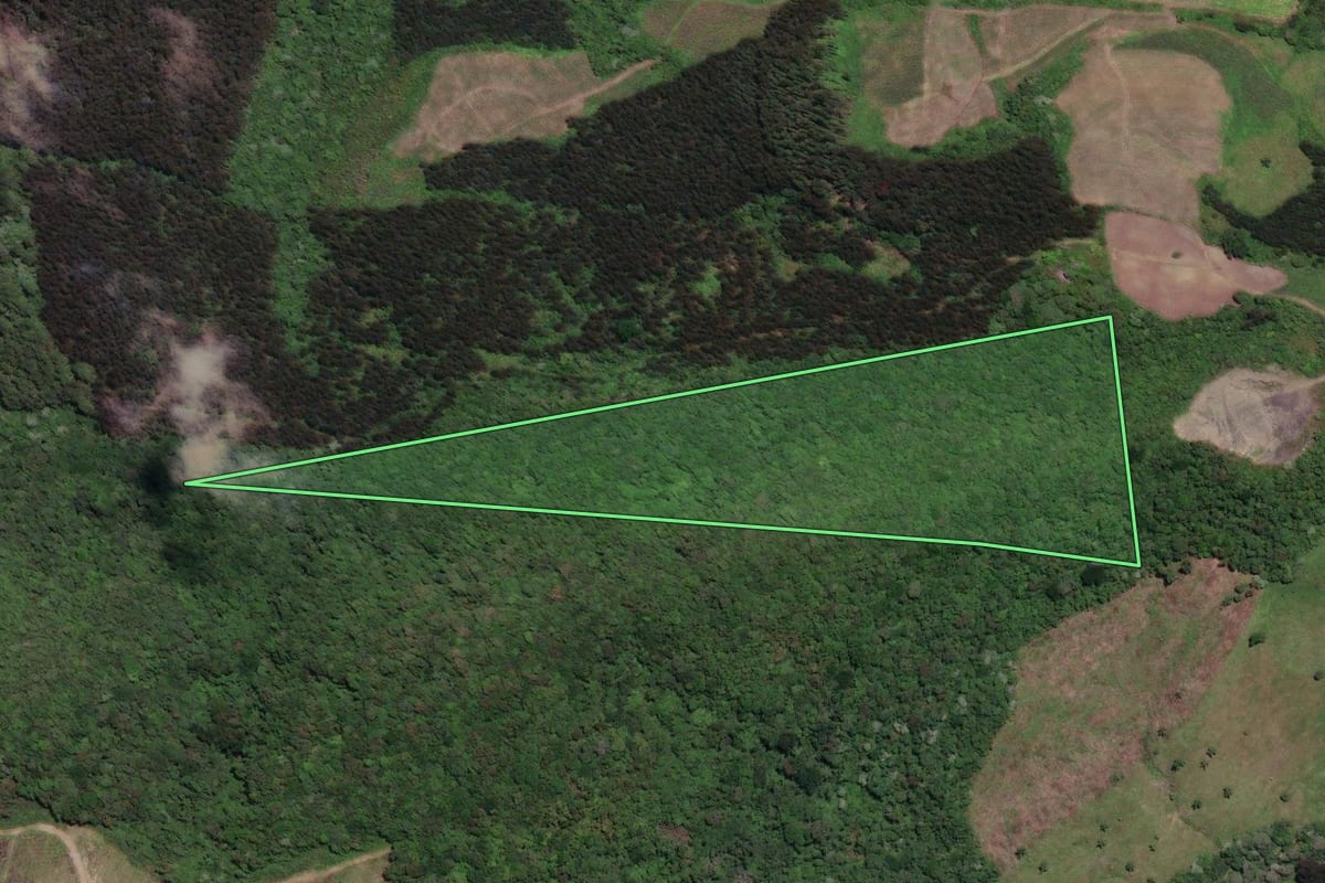 Imagem de satélite do imóvel rural em Papanduva (SC), com o contorno declarado no CAR desenhado por cima.