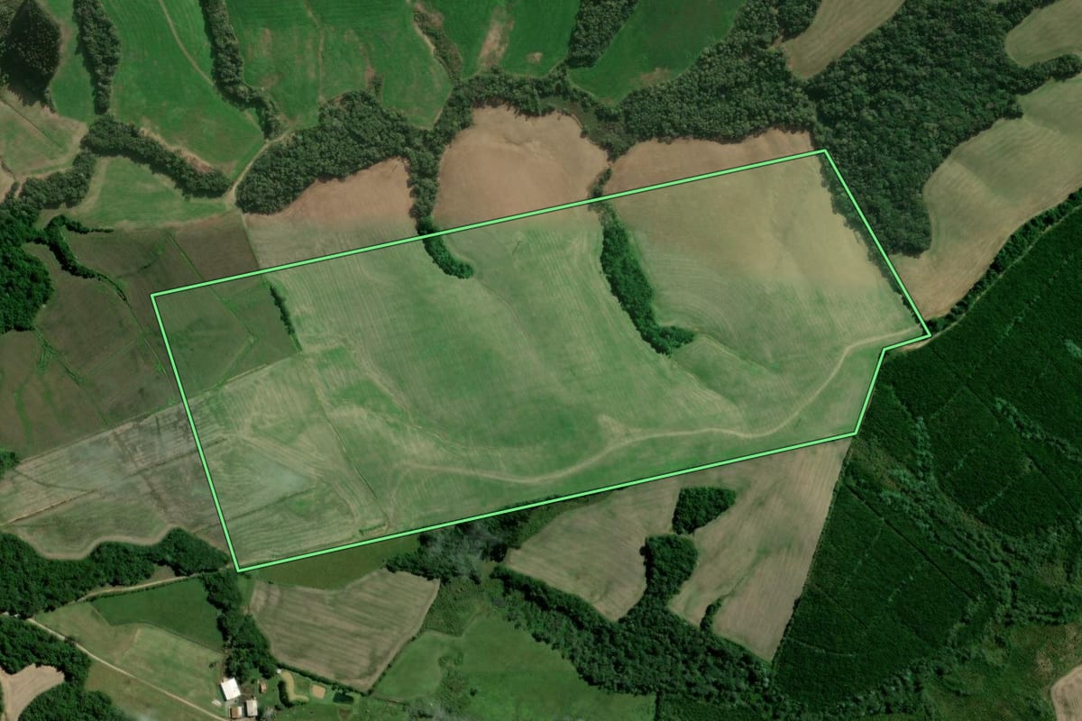 Imagem de satélite do imóvel rural em Papanduva (SC), com o contorno declarado no CAR desenhado por cima.