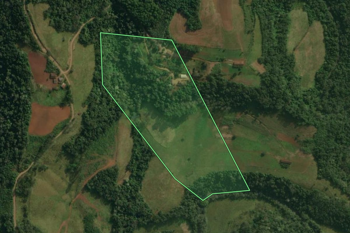 Imagem de satélite do imóvel rural em Paraíso (SC), com o contorno declarado no CAR desenhado por cima.