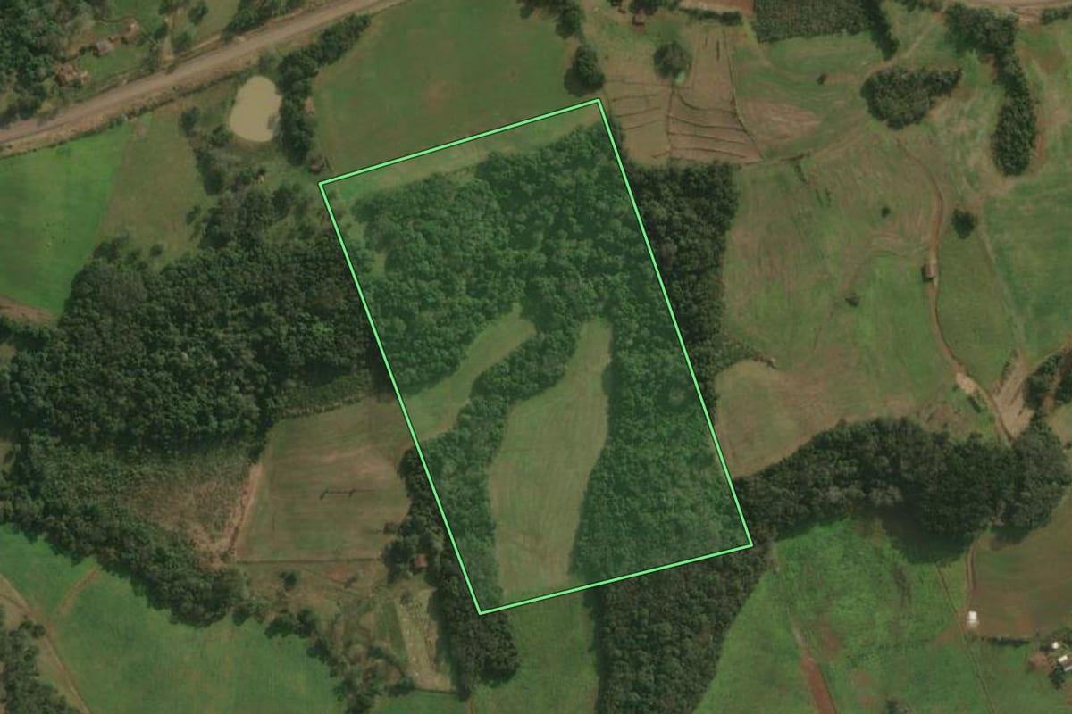 Imagem de satélite do imóvel rural em Paraíso (SC), com o contorno declarado no CAR desenhado por cima.