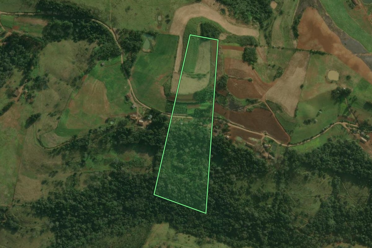 Imagem de satélite do imóvel rural em Paraíso (SC), com o contorno declarado no CAR desenhado por cima.