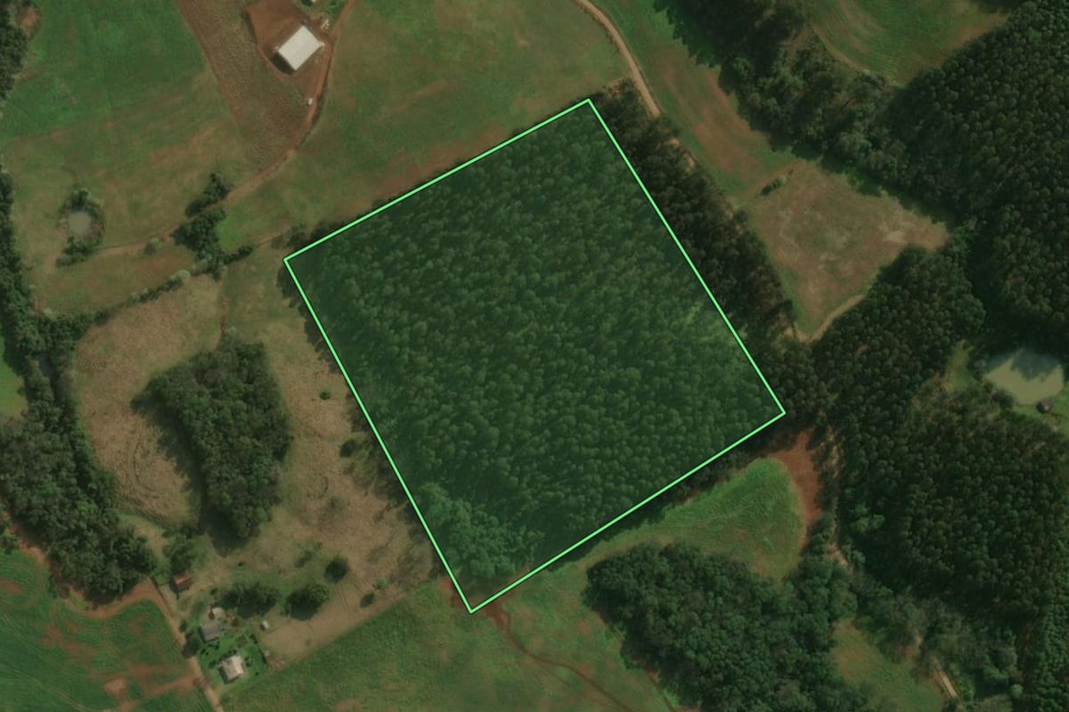 Imagem de satélite do imóvel rural em Paraíso (SC), com o contorno declarado no CAR desenhado por cima.
