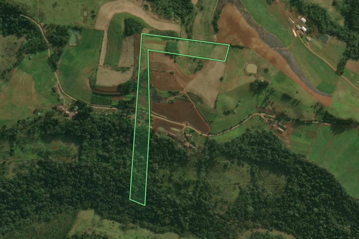 Imagem de satélite do imóvel rural em Paraíso (SC), com o contorno declarado no CAR desenhado por cima.